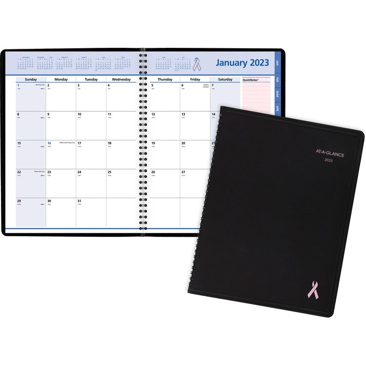 At-A-Glance Quicknotes Special Edition Monthly Planner [SKU - AAG76PN0605]