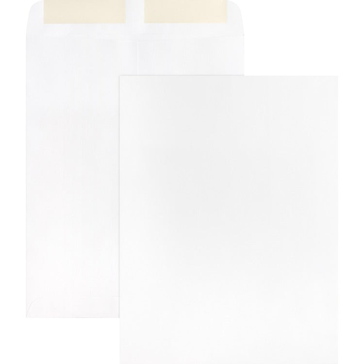 Business Source 28 lb. White Catalog Envelopes [SKU - BSN42102]