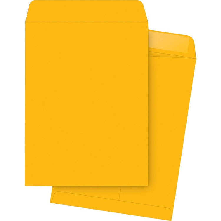 Business Source Kraft Gummed Catalog Envelopes [SKU - BSN42116]