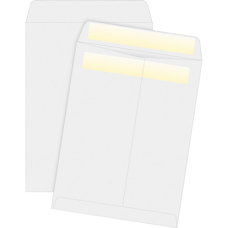 Business Source Press/Seal Catalog Envelopes [SKU - BSN04648]