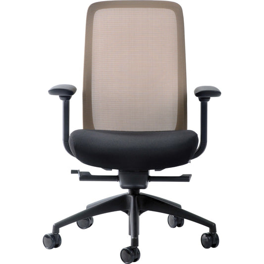 Raynor Vera Mesh Back Executive Chair [SKU - EUTVERAYLW]