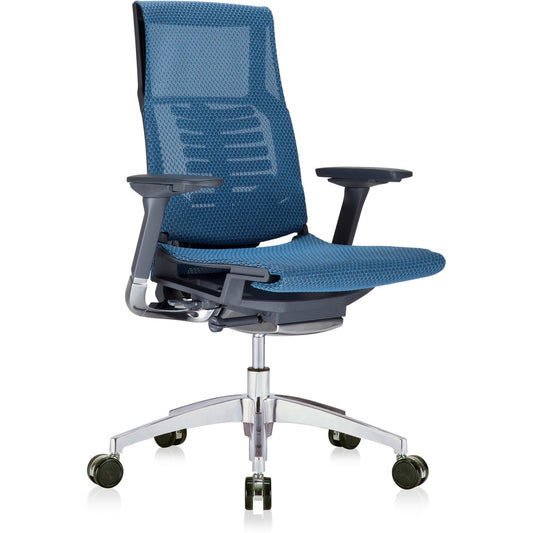 Eurotech Powerfit Chair [SKU - EUTPFT2BLKMBLU]